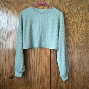 Sage green cropped long sleeve